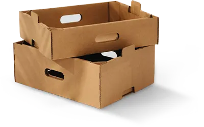 Fruits & vegetables Boxes